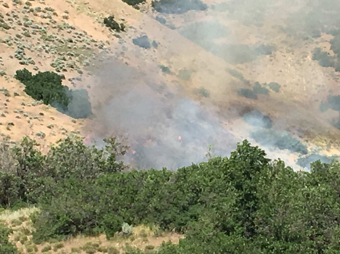 Big Springs Park-普若佛必去景点