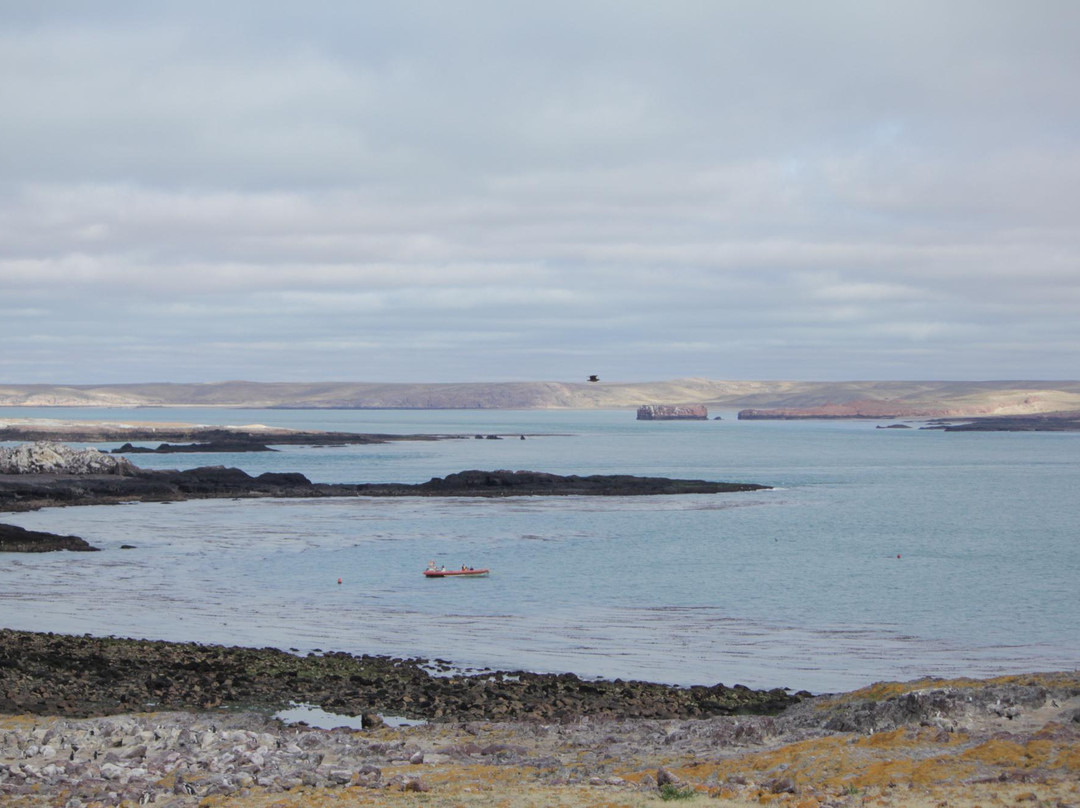 Multirubro Puerto Pizza