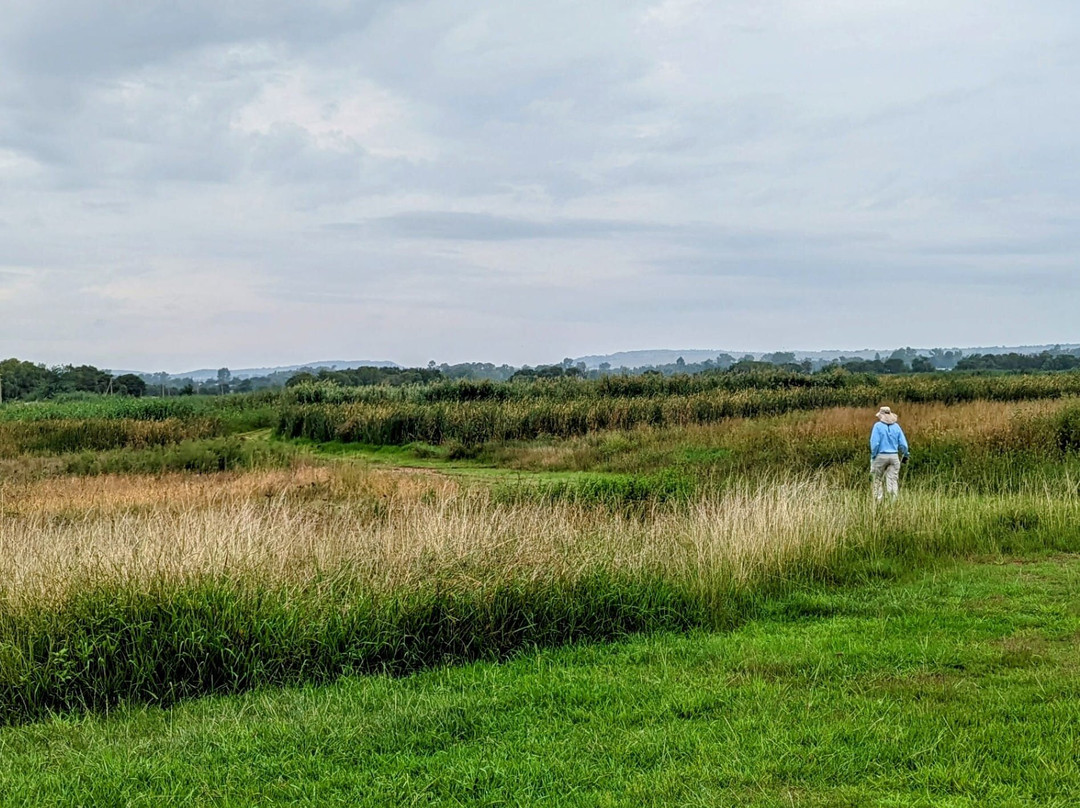 OPM Prozesky Bird Sanctuary