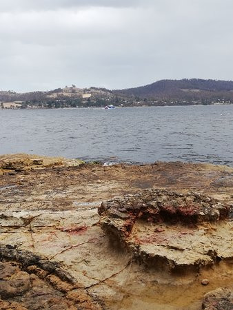 Tinderbox Marine Reserve-Tinderbox必去景点