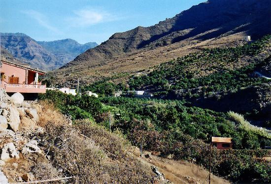 Finca Casitas Tia Carmen