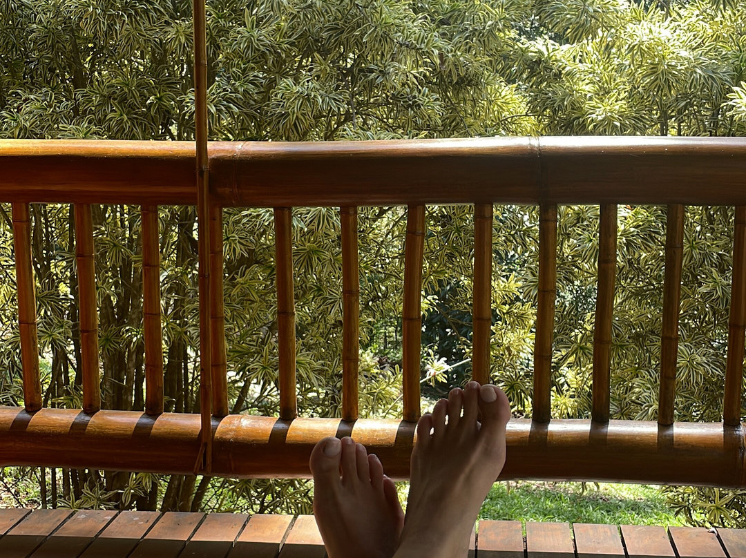 Embaúba Boutique Hotel