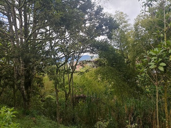 Cristo Redentor Jerico-Jerico必去景点