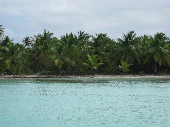 Saona Island-La Altagracia Province必去景点