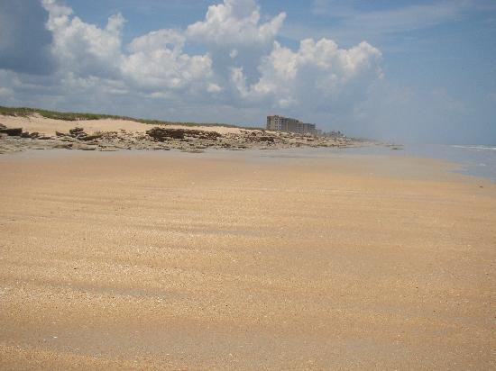 Washington Oaks Gardens State Park-棕榈海岸必去景点
