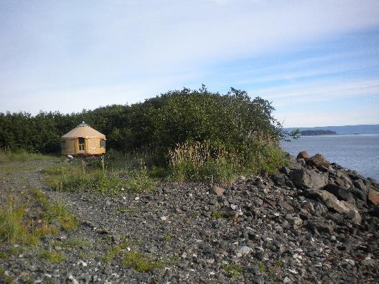 卡彻马克湾州立公园-荷马必去景点