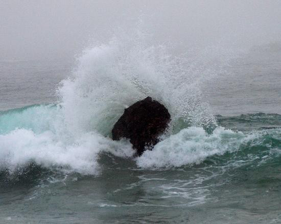 格拉帕塔州立公园-卡梅尔必去景点
