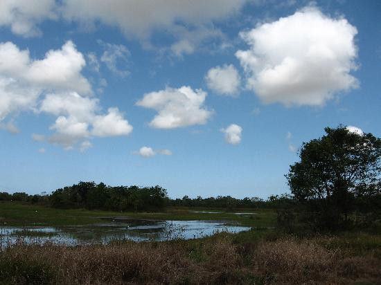 TYTO Wetlands景点图片