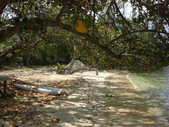 Bloody Bay-内格里尔必去景点