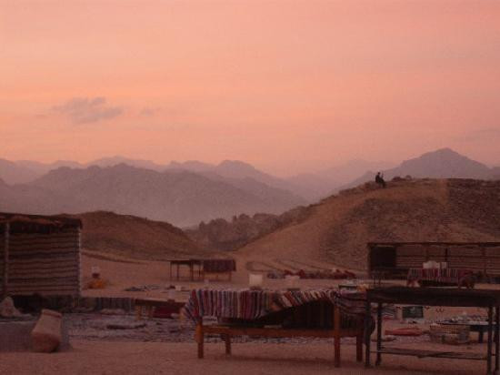 Star Gazer Night-沙姆沙伊赫必去景点