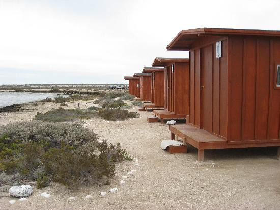 Baja Ecotours-San Ignacio必去景点