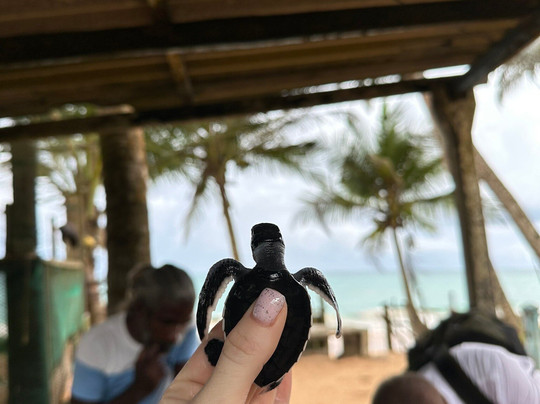 Mango Lanka Tours-卡卢特勒必去景点