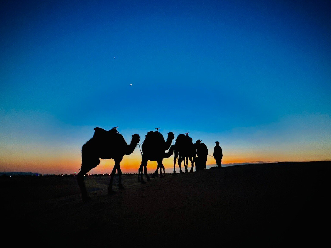 Auberge l'Oasis主图