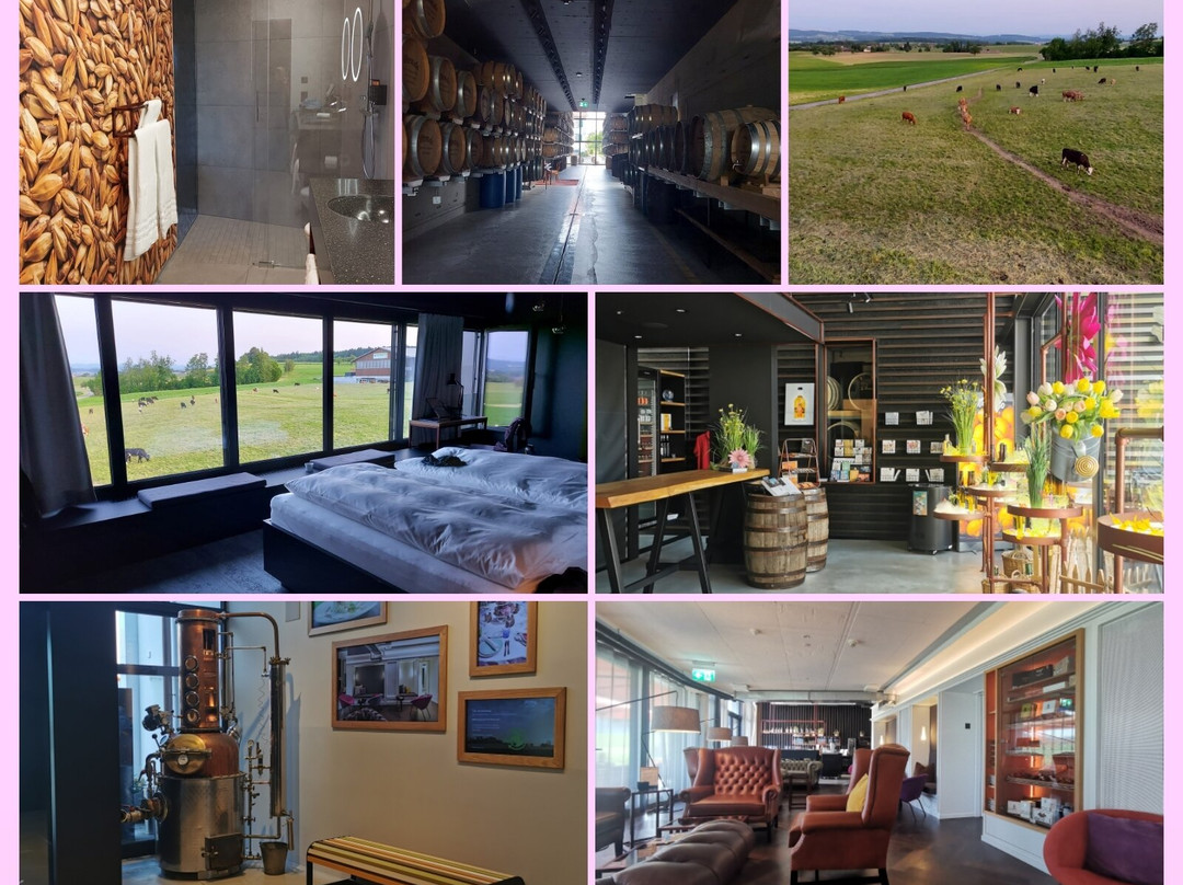 Macardo Premium B&B