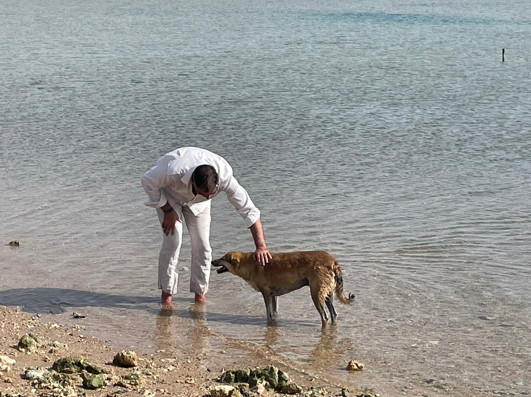 HorseTrips Hurghada-赫尔格达必去景点