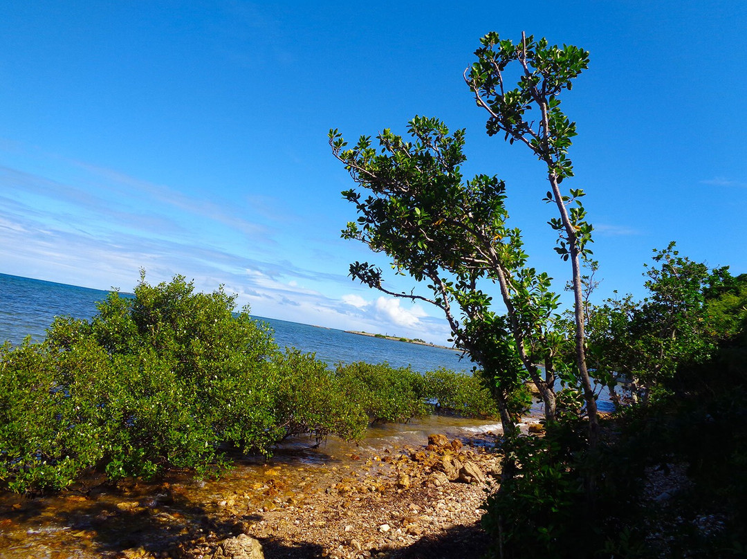 Promenade Pierre-Vernier-努美阿必去景点