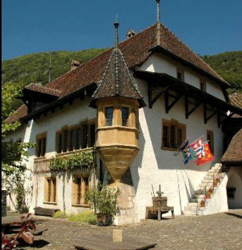 Musée de la vigne au lac de Bienne景点图片