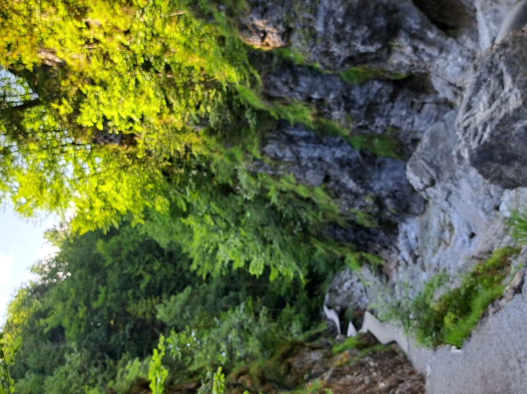 Griesbachklamm-Erpfendorf必去景点