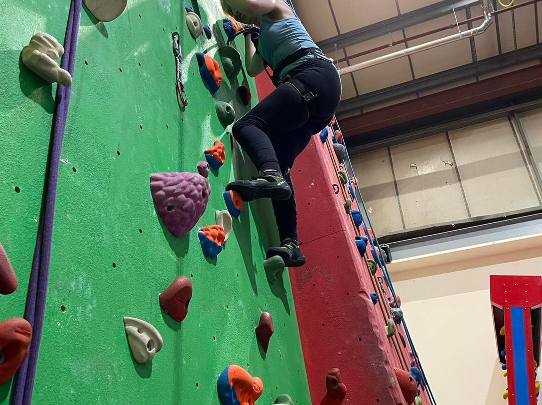 The Pinnacle Climbing Centre景点图片