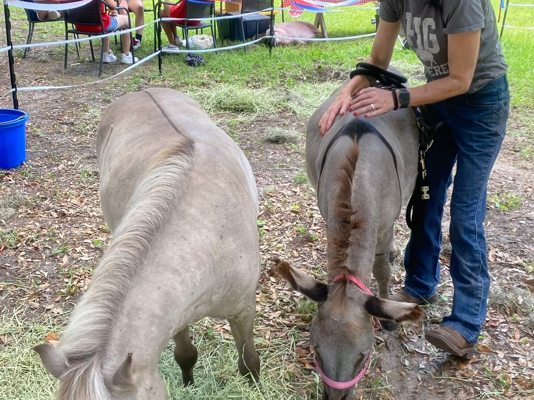 The Roost-Daufuskie Island必去景点