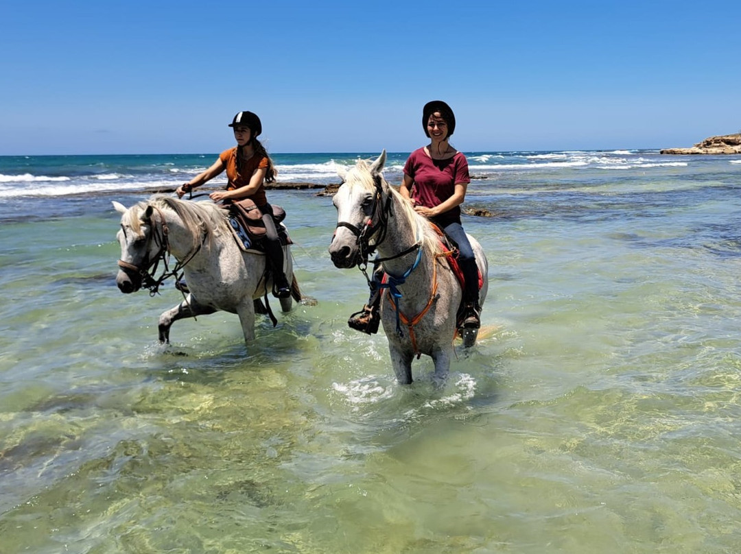 Sirin Riders-Amirim必去景点