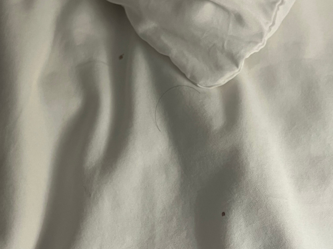 卡尔森 - 格林内尔套房江山酒店主图