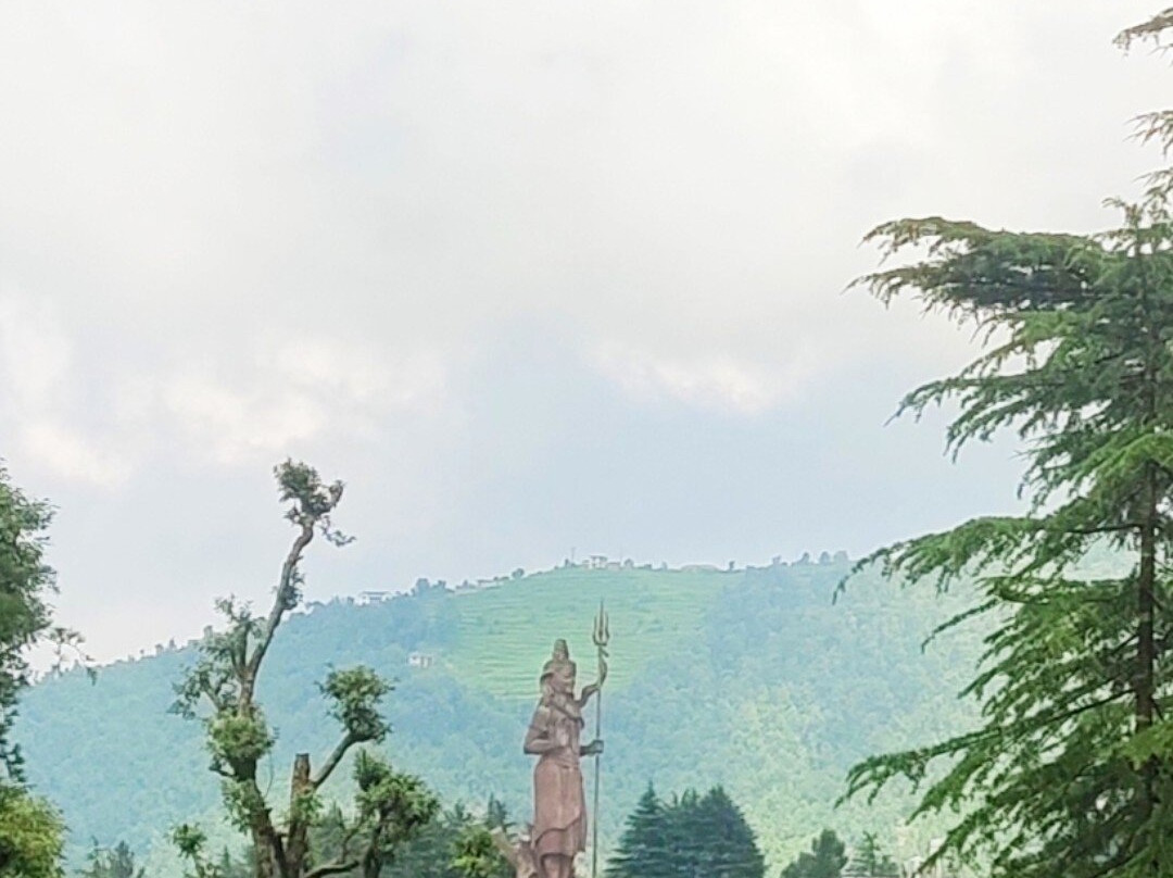 Golden Devi Temple景点图片