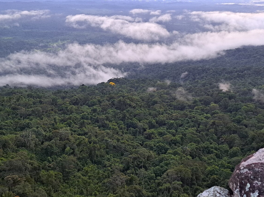 Serra do Tepequem-Amajari必去景点