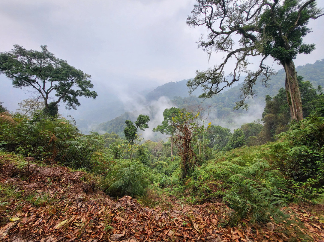 Freka African Holidays-坎帕拉必去景点