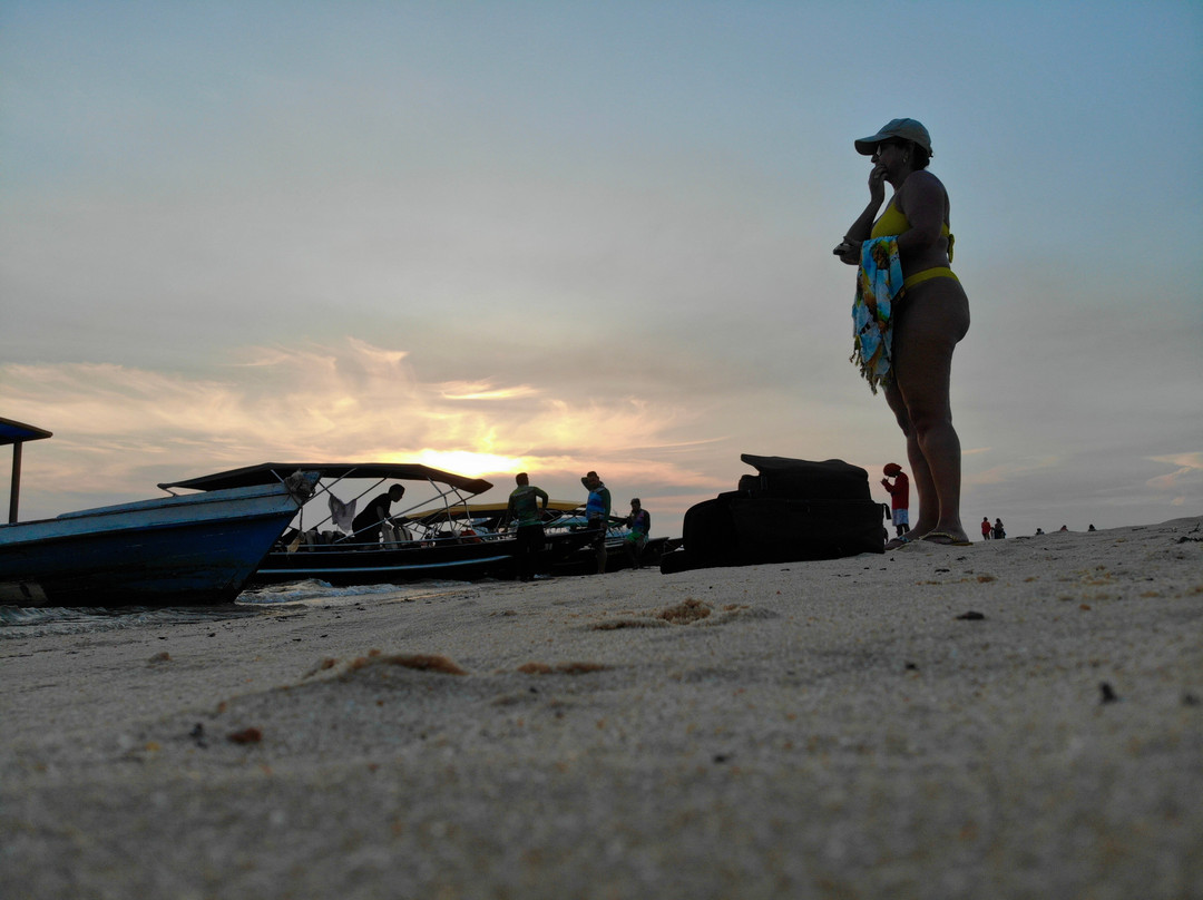 Cururu's Point-Alter do Chao必去景点