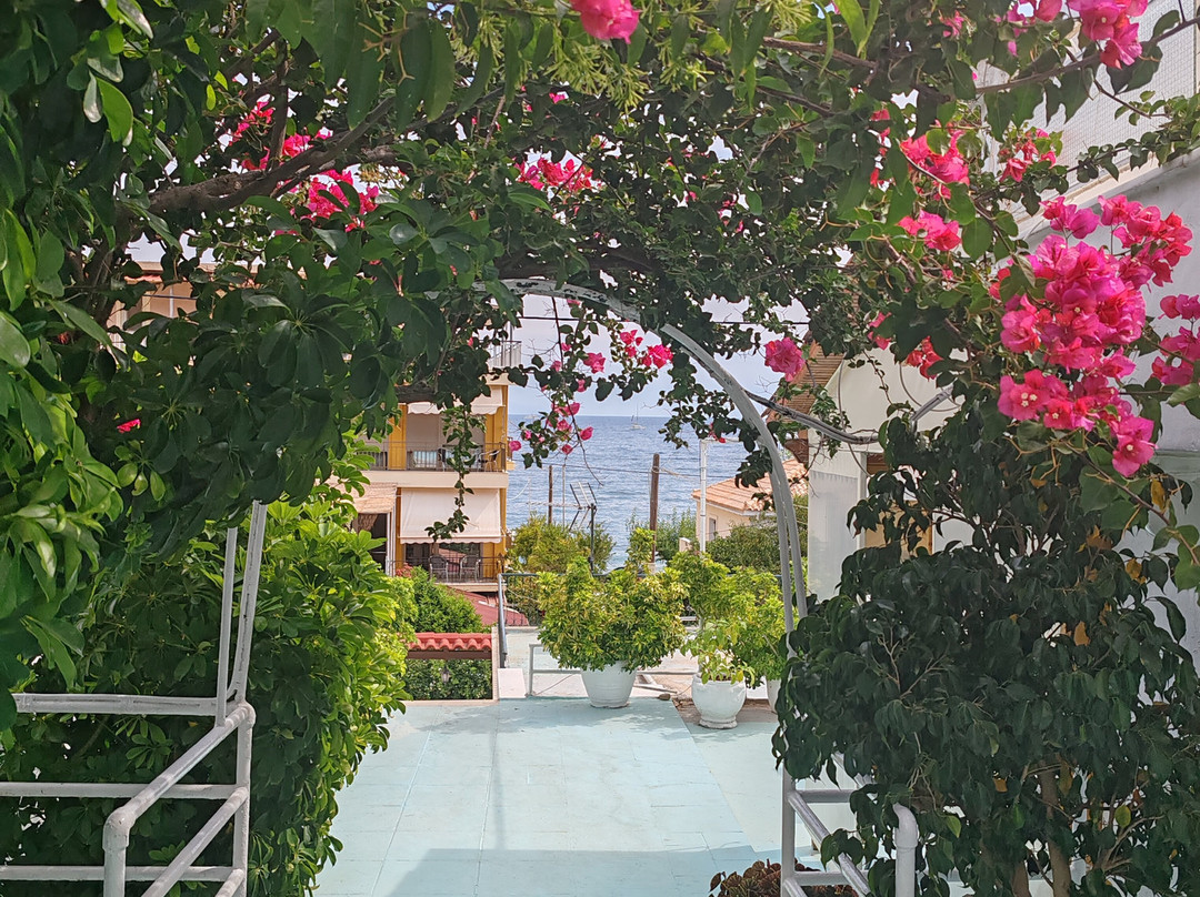 Pension Galini主图