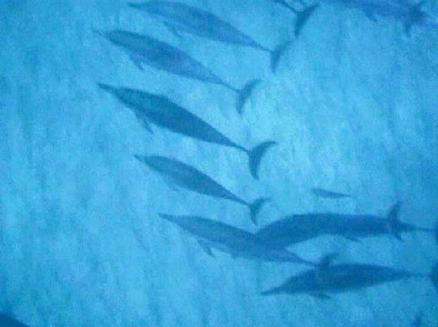 水上日光-凯鲁瓦-柯纳必去景点