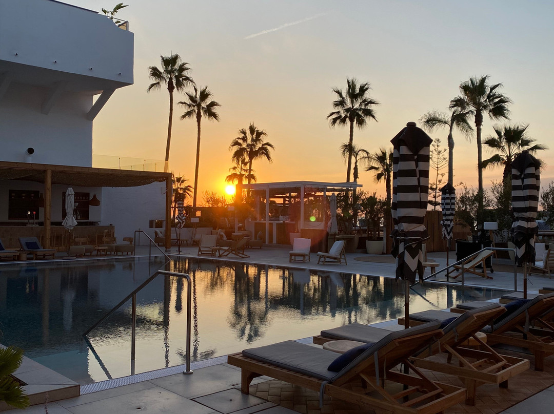 METT Marbella - Estepona主图