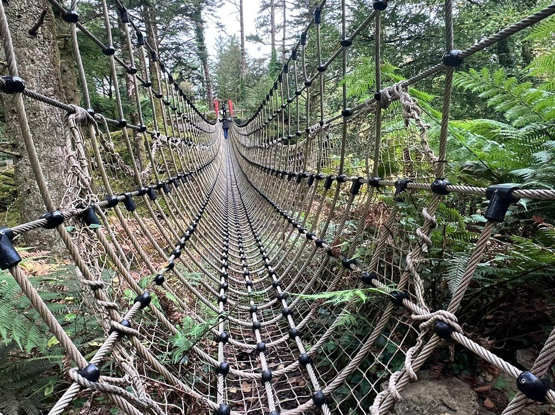 Kells Bay House And Gardens主图