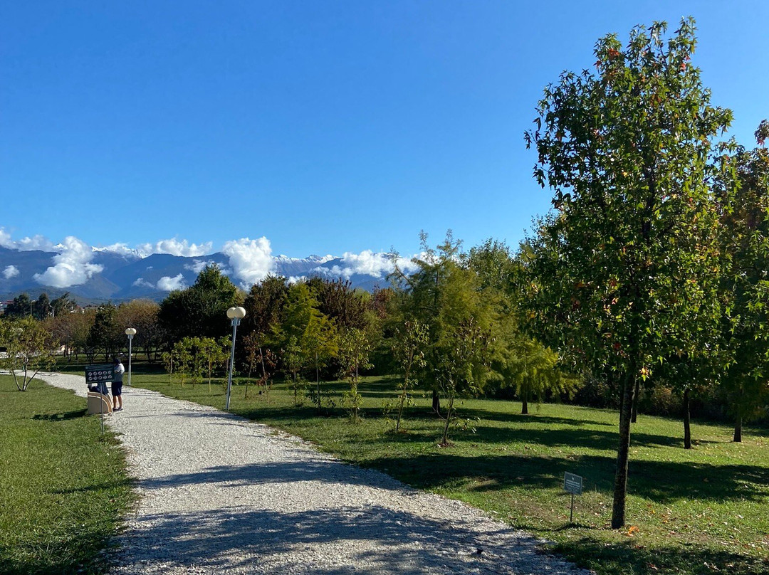 Natural Ornithological Park in the  Imereti Lowland-索契必去景点