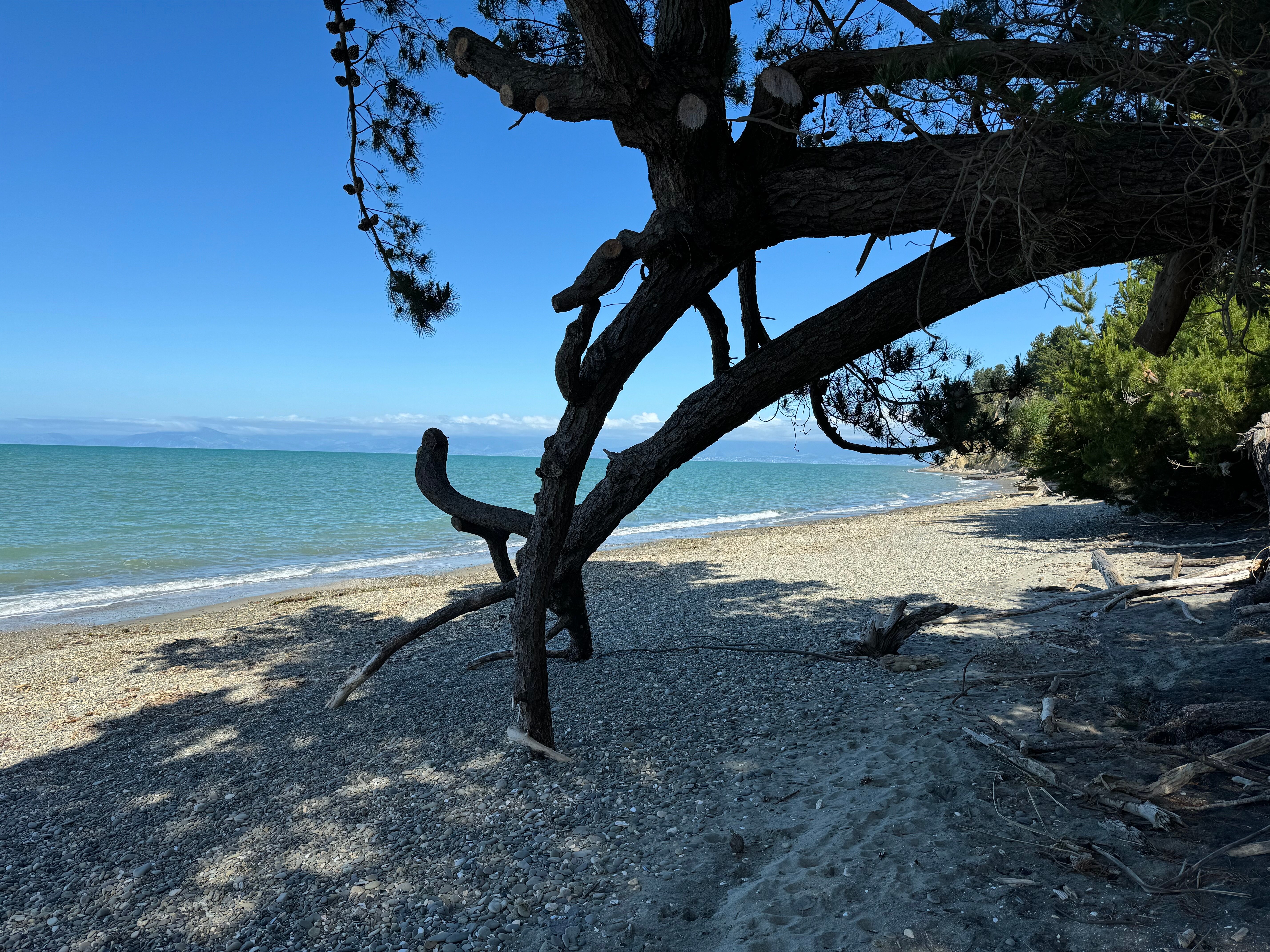 The Waters B&b-泳池