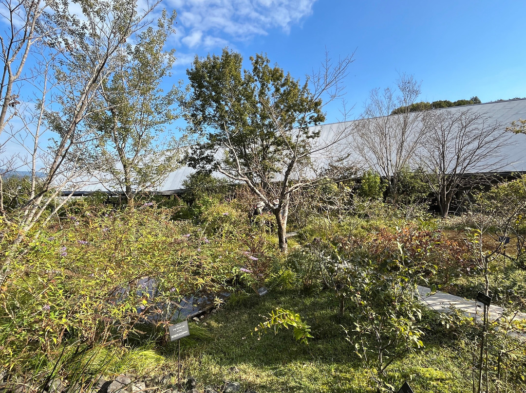 The Kochi Prefectural Makino Botanical Garden景点图片