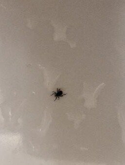 Best Western Brantford Hotel And Conference Centre主图