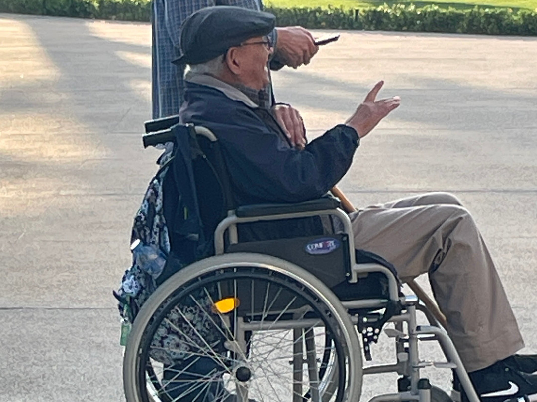 Istanbul Wheelchair-伊斯坦布尔必去景点