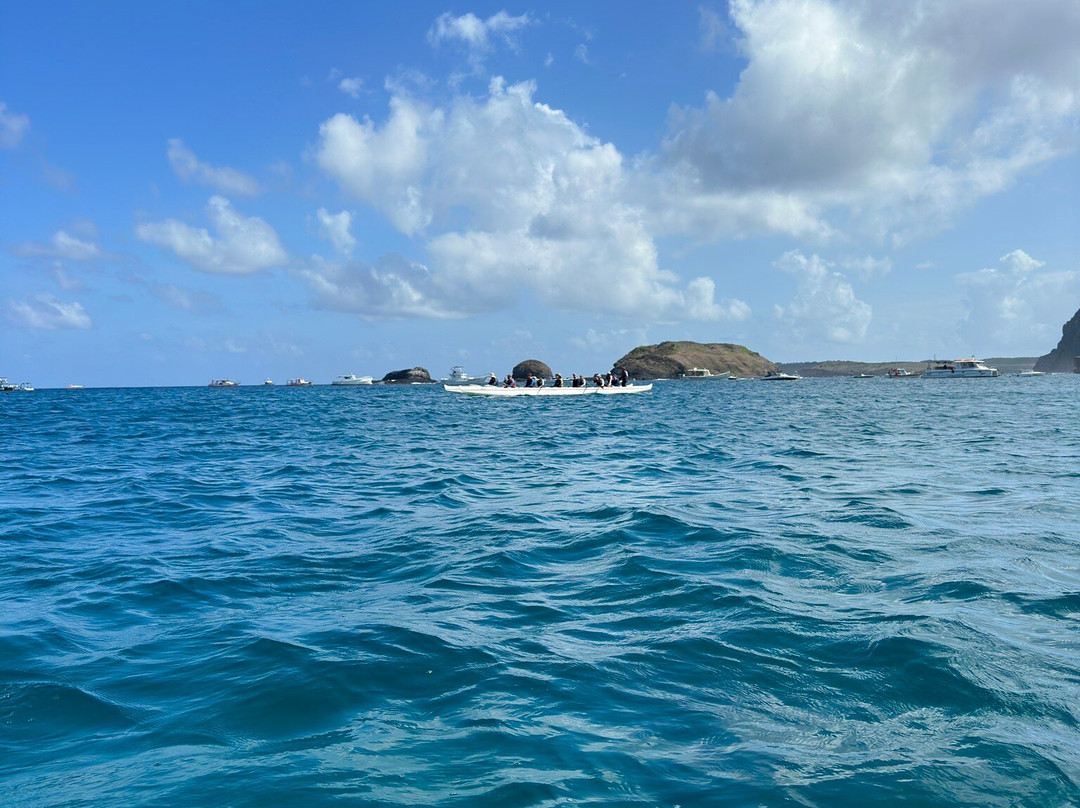 FDino Noronha-费尔南多-迪诺罗尼亚群岛必去景点