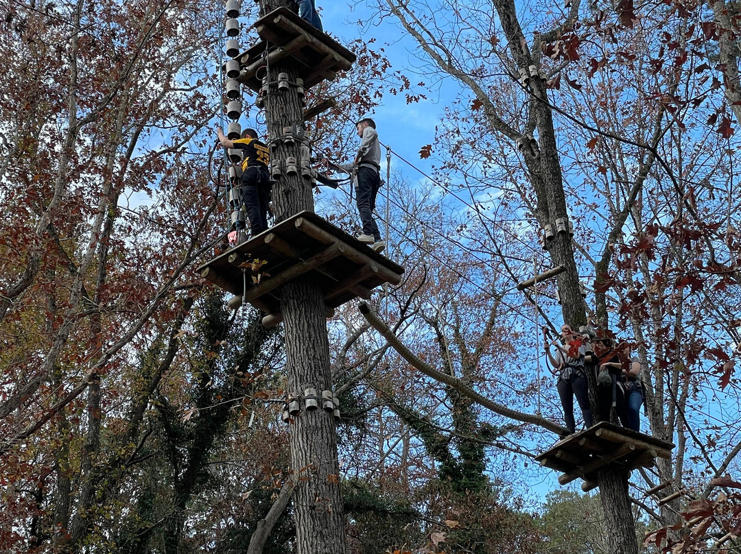 Carolina Treetop Challenge景点图片