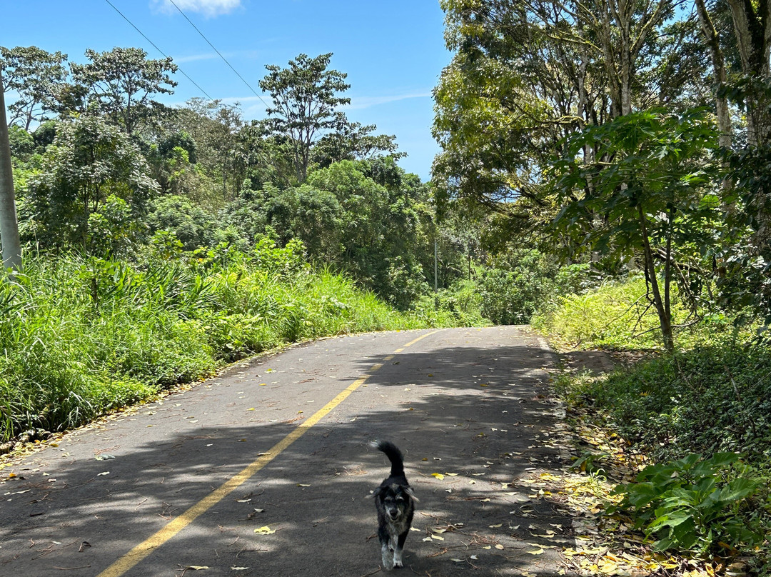 Galapagos Path景点图片