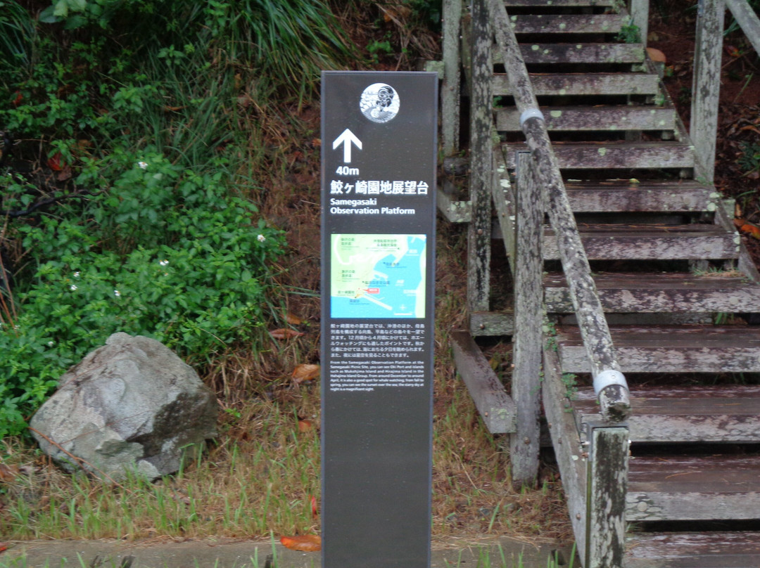 Samegasaki Observation Platform景点图片