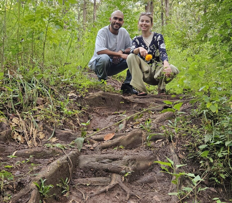 Adrak Mountain Mist Forest Resort主图