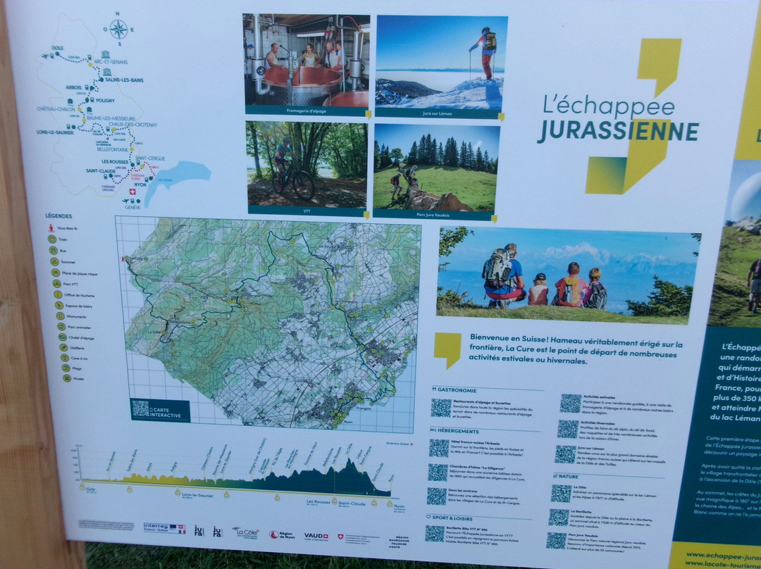 Nyon St-Cergue La Cure Railway-尼永必去景点