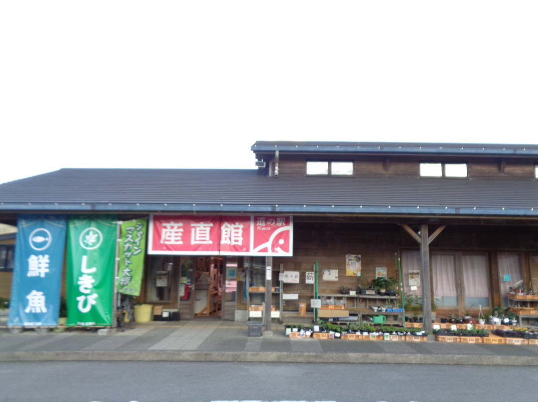 Michi no Eki Hiwasa景点图片