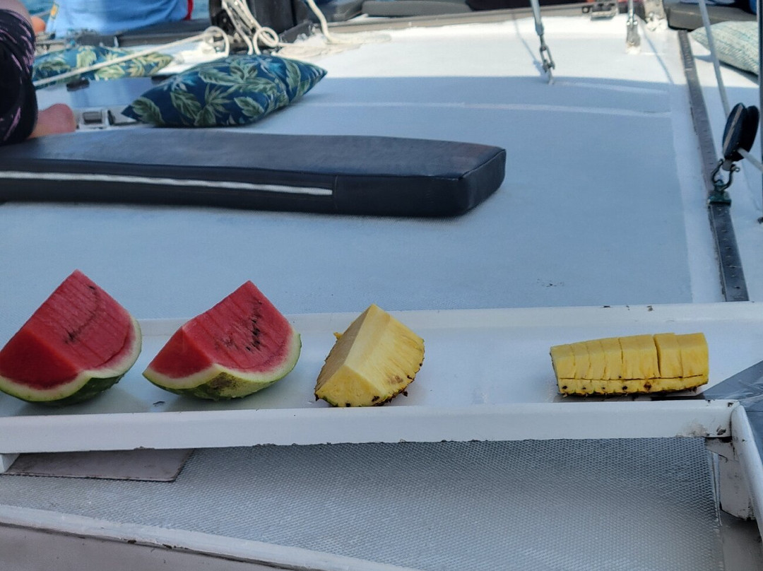 Sealounge Catamaran Costa Rica景点图片