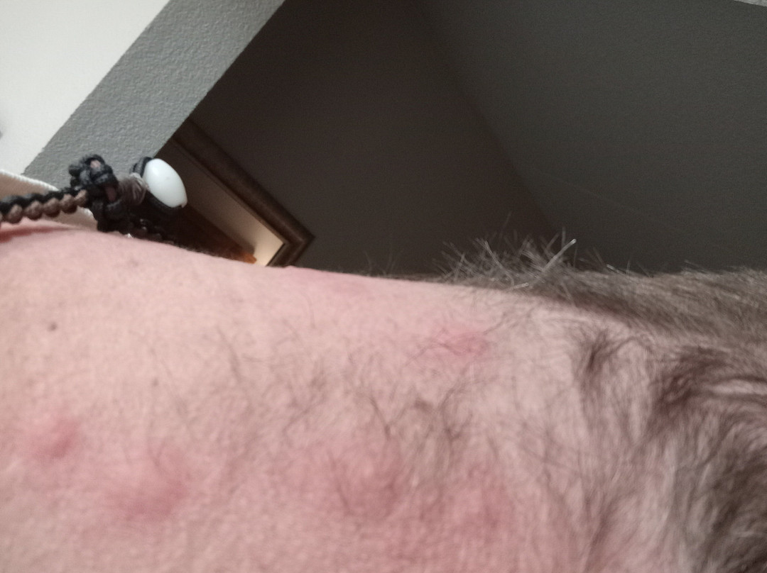 Red Roof Inn Greenville, Nc主图