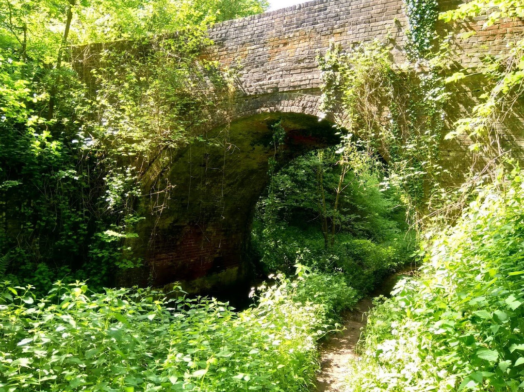 Greywell Tunnel景点图片
