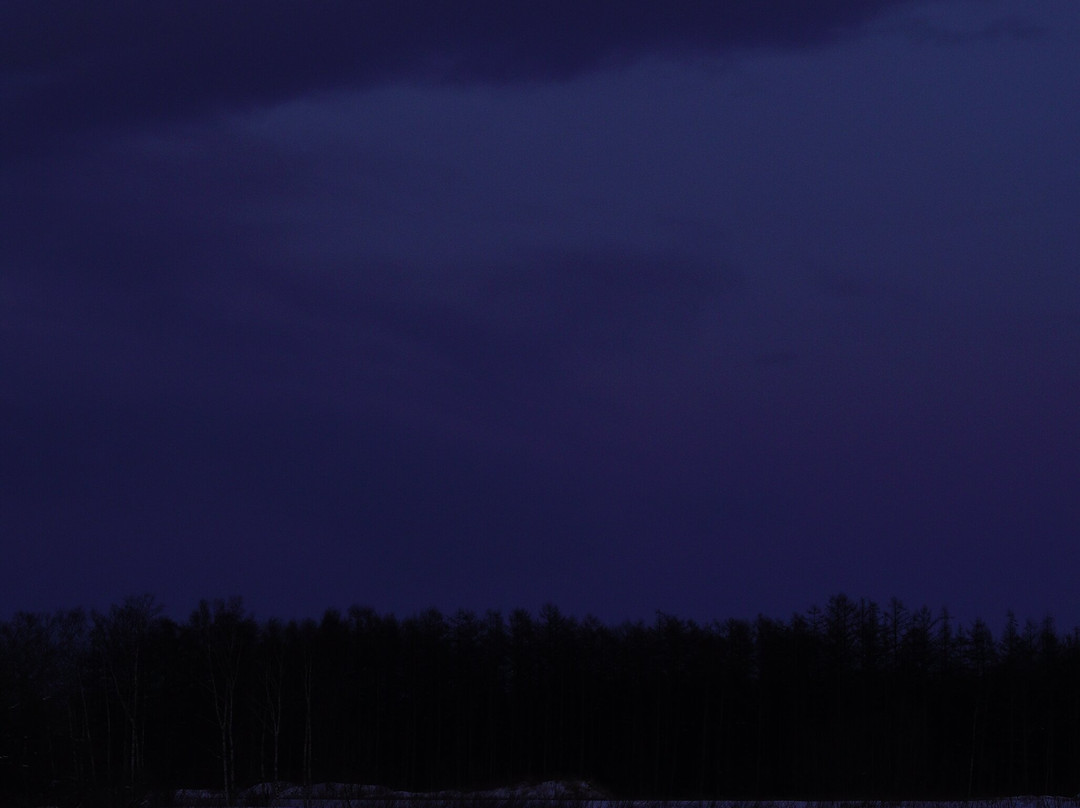 Mushing Works Dog Sledding Tours-鹿追町必去景点